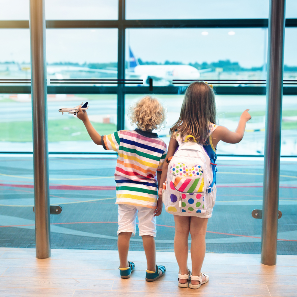 PET TRAVEL ASSIST (1)